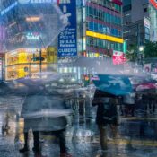 Activities To do in Tokyo when it Rains