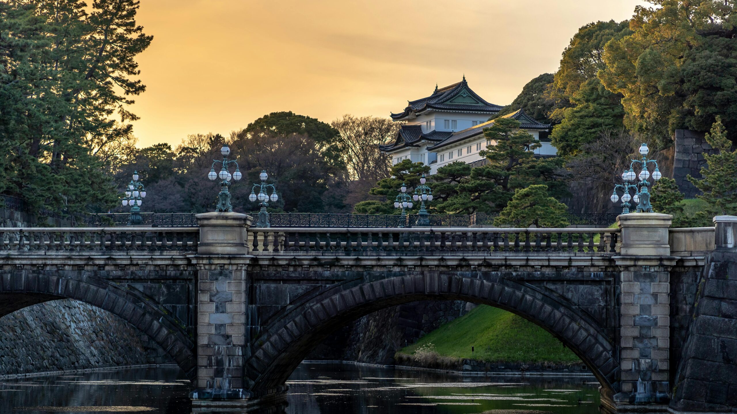 Full day visit Tokyo